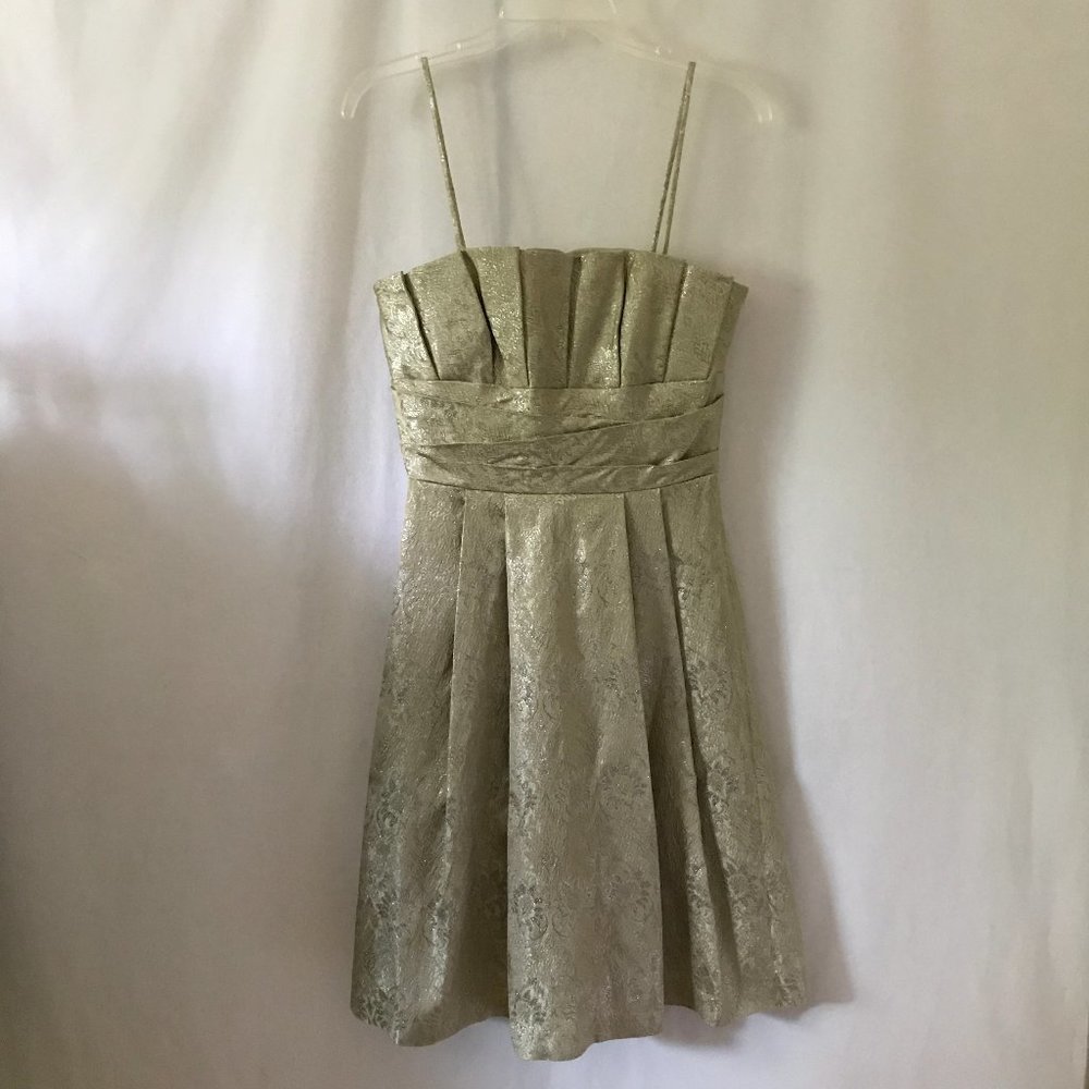 Priscilla of Boston Gold Pleated Dress
